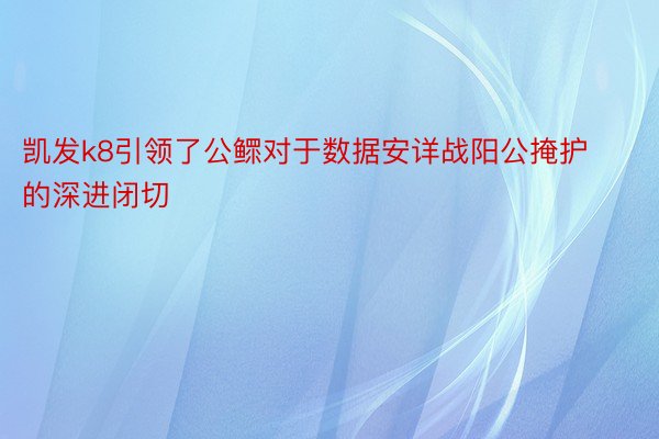 凯发k8引领了公鳏对于数据安详战阳公掩护的深进闭切